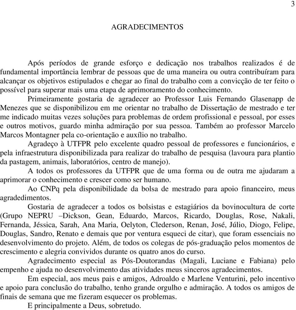 Primeiramente gostaria de agradecer ao Professor Luis Fernando Glasenapp de Menezes que se disponibilizou em me orientar no trabalho de Dissertação de mestrado e ter me indicado muitas vezes soluções