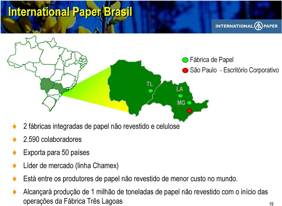 590 colaboradores Exporta para 50 países Líder de mercado (linha Chamex) Está entre os produtores de