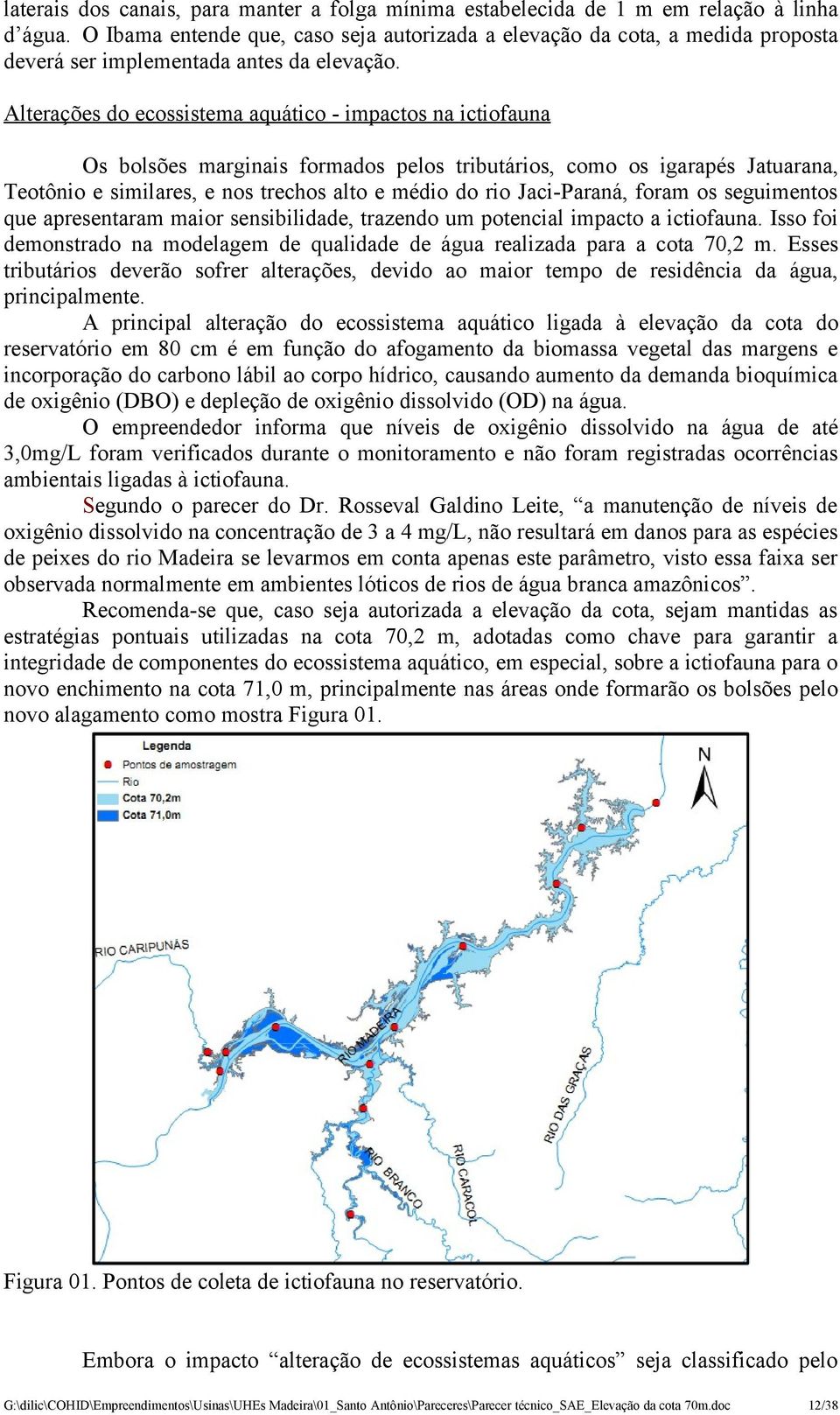 Alterações do ecossistema aquático - impactos na ictiofauna Os bolsões marginais formados pelos tributários, como os igarapés Jatuarana, Teotônio e similares, e nos trechos alto e médio do rio