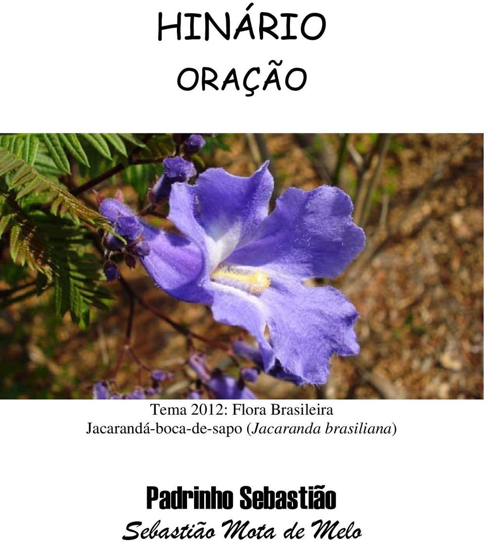 Jacarandá-boca-de-sapo