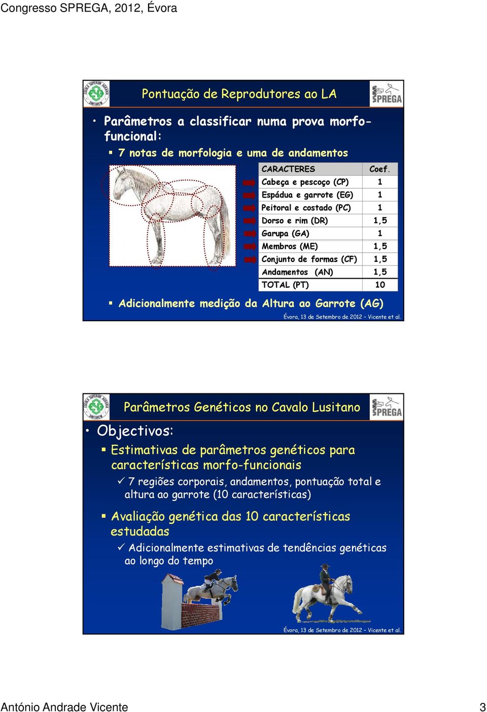 10 Adicionalmente medição da Altura ao Garrote (AG) Parâmetros Genéticos no Cavalo Lusitano Objectivos: Estimativas de parâmetros genéticos para características morfo-funcionais 7
