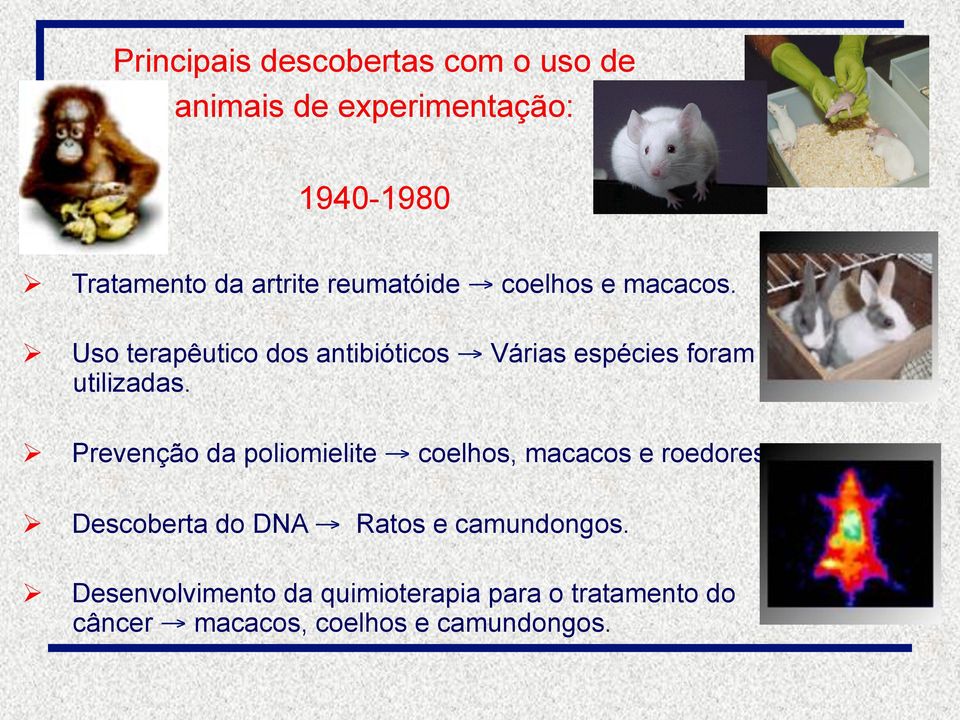 Uso terapêutico dos antibióticos Várias espécies foram utilizadas.