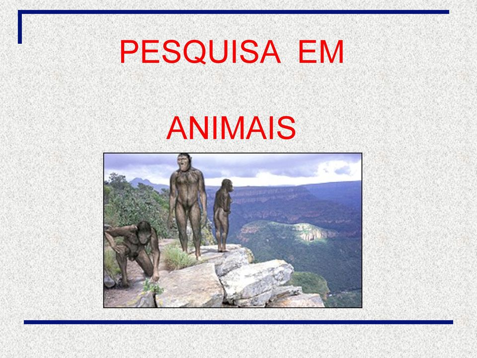 ANIMAIS