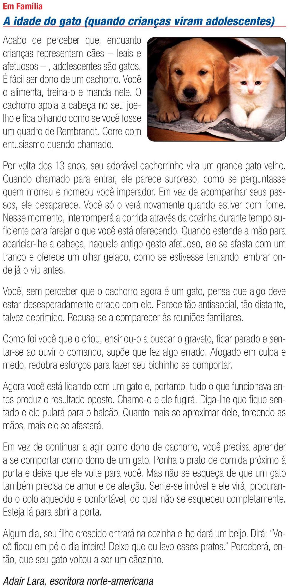 Por volta dos 13 anos, seu adorável cachorrinho vira um grande gato velho. Quando chamado para entrar, ele parece surpreso, como se perguntasse quem morreu e nomeou você imperador.