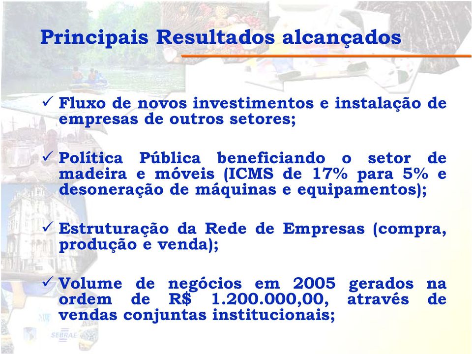 desoneração de máquinas e equipamentos); Estruturação da Rede de Empresas (compra, produção e