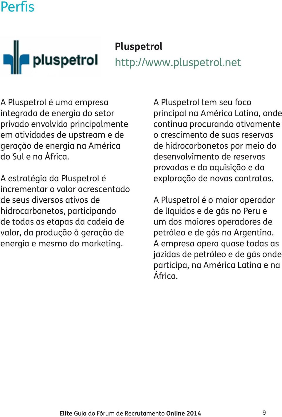 A estratégia da Pluspetrol é incrementar o valor acrescentado de seus diversos ativos de hidrocarbonetos, participando de todas as etapas da cadeia de valor, da produção à geração de energia e mesmo