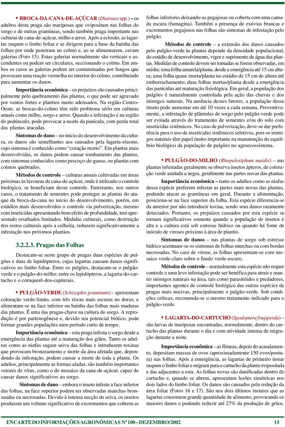 Após a eclosão, as lagartas raspam o limbo foliar e se dirigem para a base da bainha das folhas por onde penetram no colmo e, ao se alimentarem, cavam galerias (Foto 15).