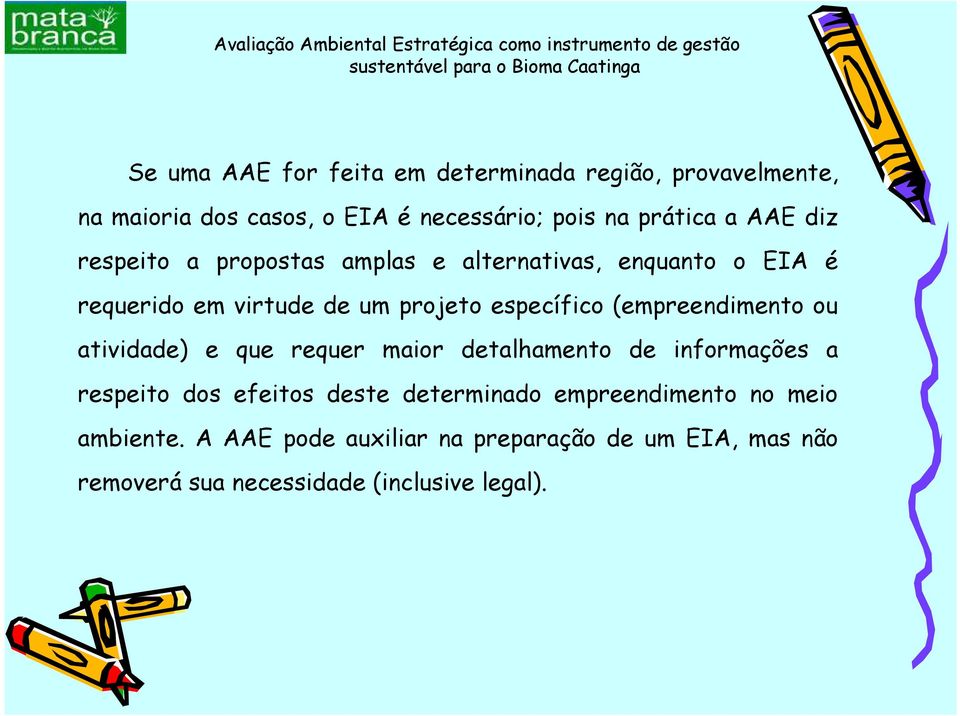 (empreendimento ou atividade) e que requer maior detalhamento de informações a respeito dos efeitos deste determinado