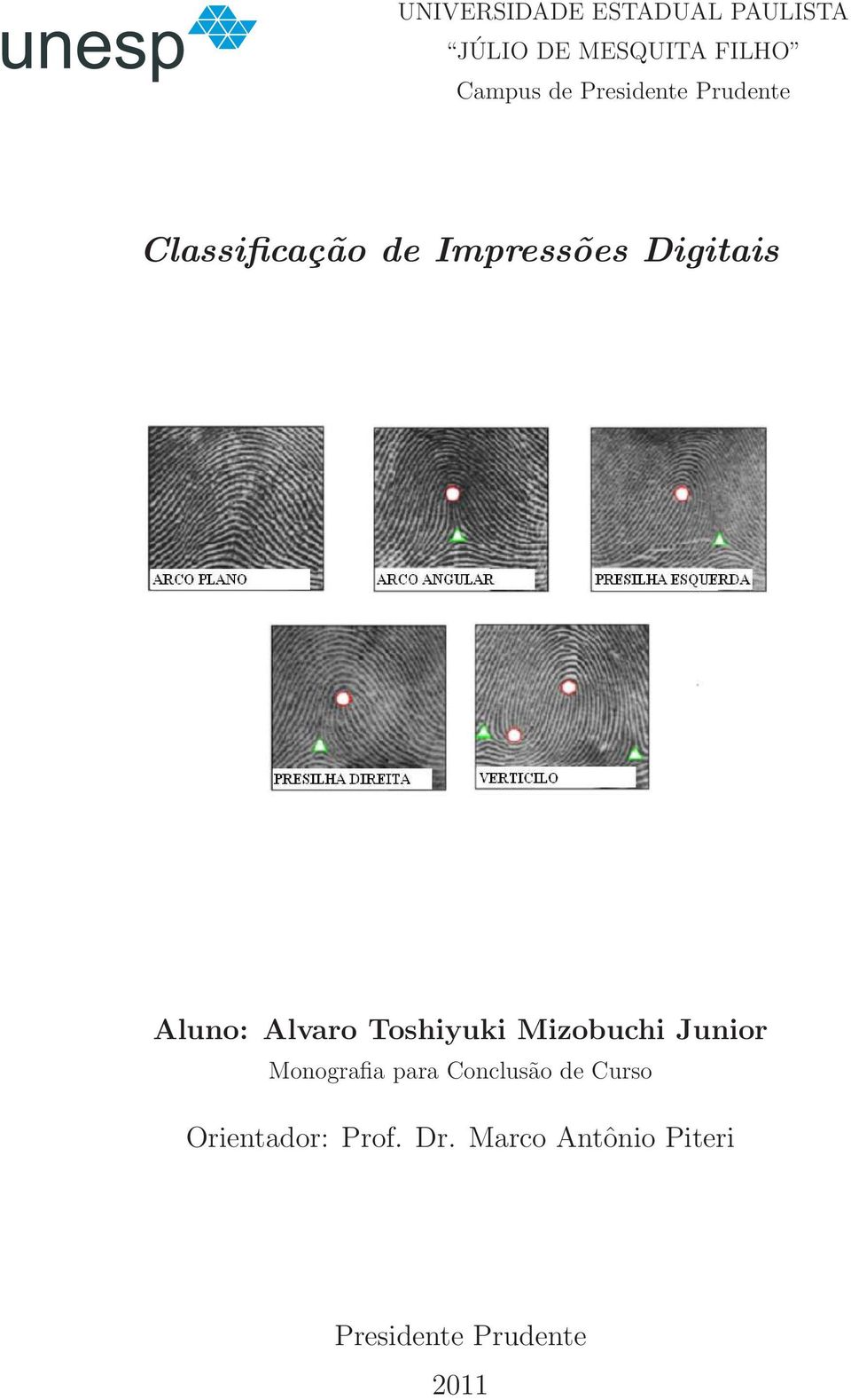 Alvaro Toshiyuki Mizobuchi Junior Monografia para Conclusão de