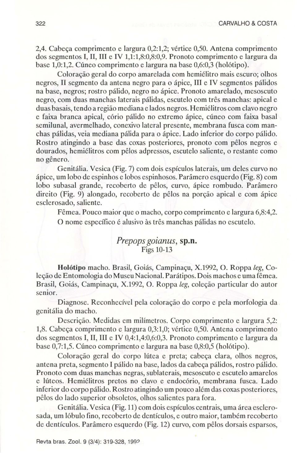 Coloração geral do corpo amarelada com hemiélitro mais escuro; olhos negros, II segmento da antena negro para o ápice, III e IV segmentos pálidos na base, negros; rostro pálido, negro no ápice.