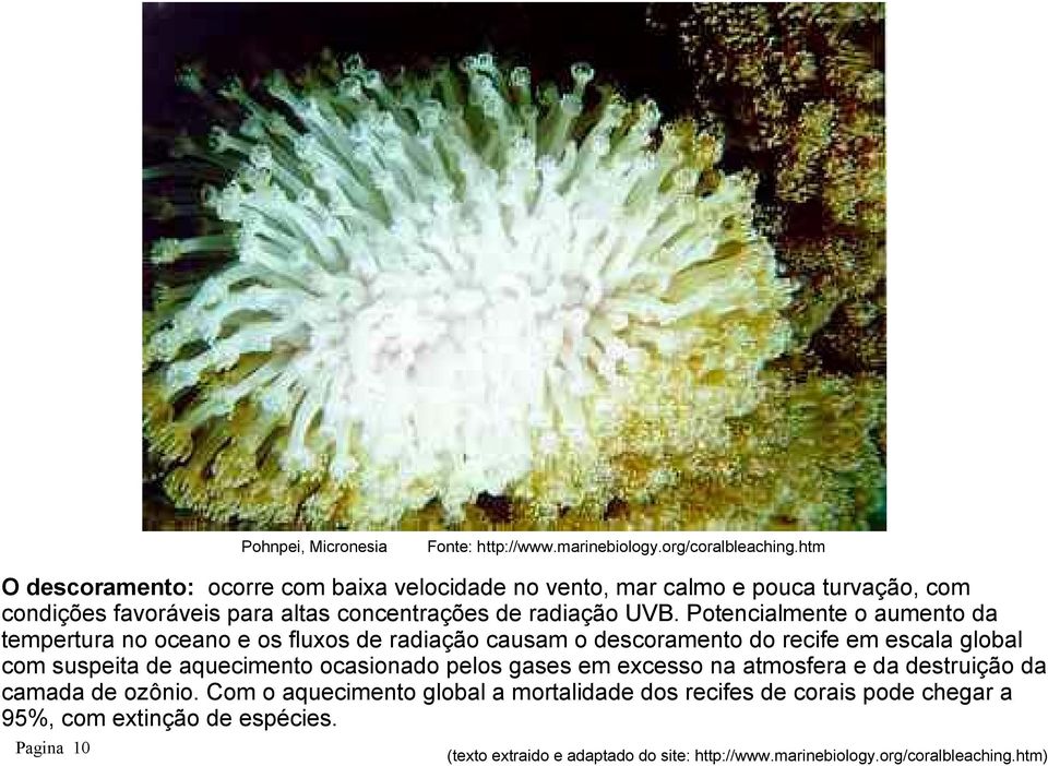 Potencialmente o aumento da tempertura no oceano e os fluxos de radiação causam o descoramento do recife em escala global com suspeita de aquecimento ocasionado