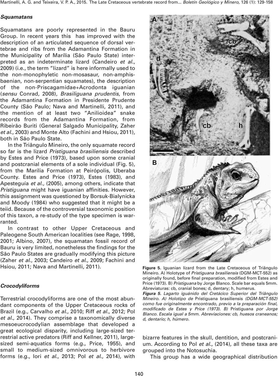 interpreted as an indeterminate lizard (Candeiro et al., 2009) (i.e., the term lizard is here informally used to the non-monophyletic non-mosasaur, non-amphisbaenian, non-serpentian squamates), the
