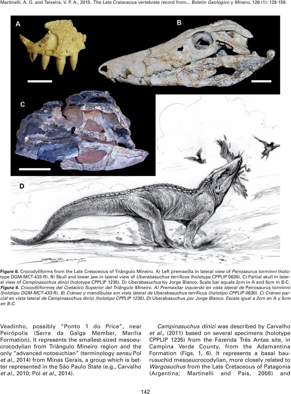 D) Uberabasuchus by Jorge Blanco. Scale bar equals 2cm in A and 5cm in B-C. Figura 6. Crocodiliformes del Cretácico Superior del Triângulo Mineiro.