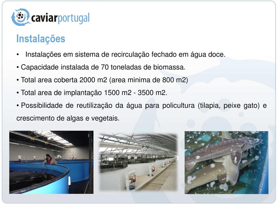 Total area coberta 2000 m2 (area minima de 800 m2) Total area de implantação 1500