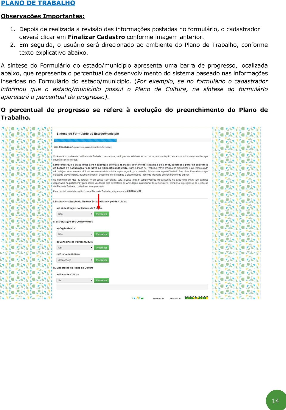 A síntese do Formulário do estado/município apresenta uma barra de progresso, localizada abaixo, que representa o percentual de desenvolvimento do sistema baseado nas informações inseridas no