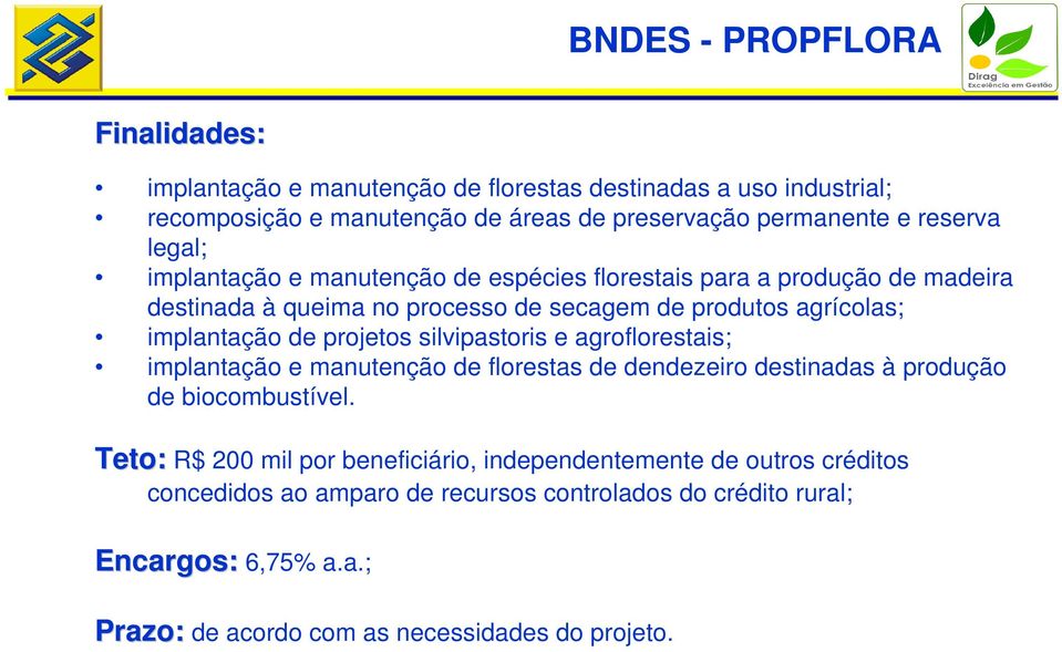 de projetos silvipastoris e agroflorestais; implantação e manutenção de florestas de dendezeiro destinadas à produção de biocombustível.