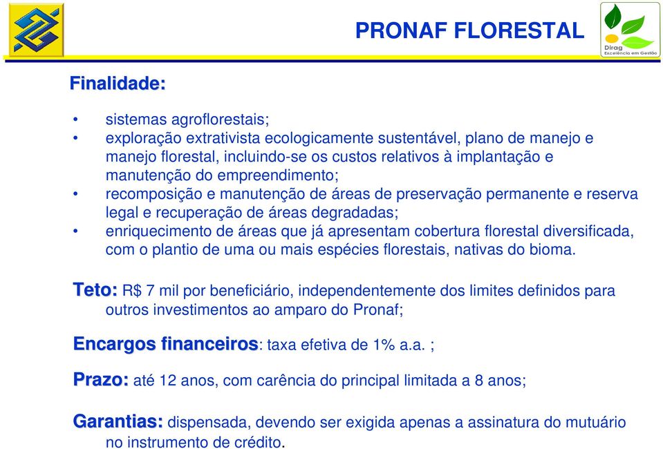 florestal diversificada, com o plantio de uma ou mais espécies florestais, nativas do bioma.