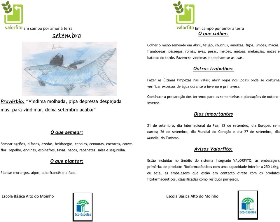 Provérbio: Vindima molhada, pipa depressa despejada mas, para vindimar, deixa setembro acabar Semear agriões, alfaces, azedas, beldroegas, cebolas, cenouras, coentros, couveflor, repolho, ervilhas,