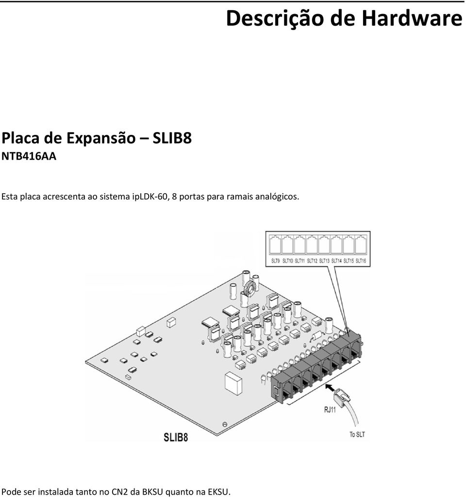 ipldk-60, 8 portas para ramais analógicos.