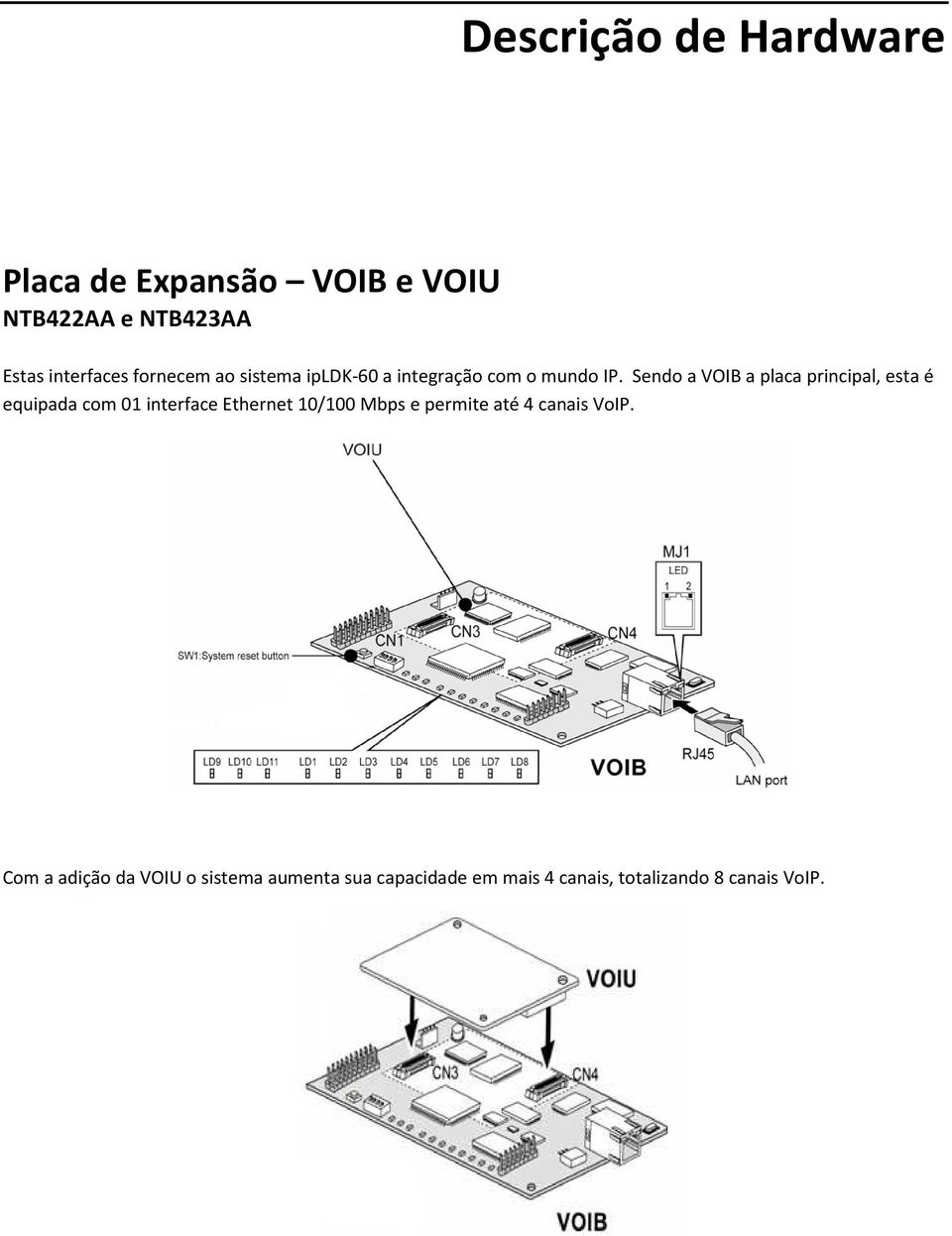 Sendo a VOIB a placa principal, esta é equipada com 01 interface Ethernet 10/100 Mbps e