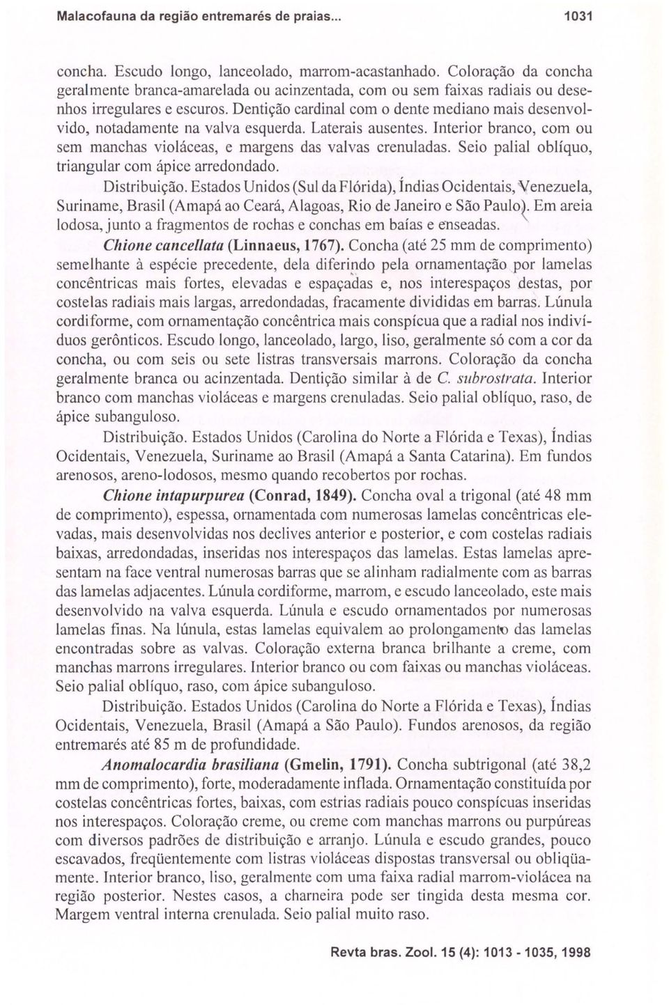 Dentição cardinal com o dente mediano mais desenvolvido, notadamente na valva esquerda. Laterais ausentes. Interior branco, com ou sem manchas violáceas, e margens das valvas crelluladas.