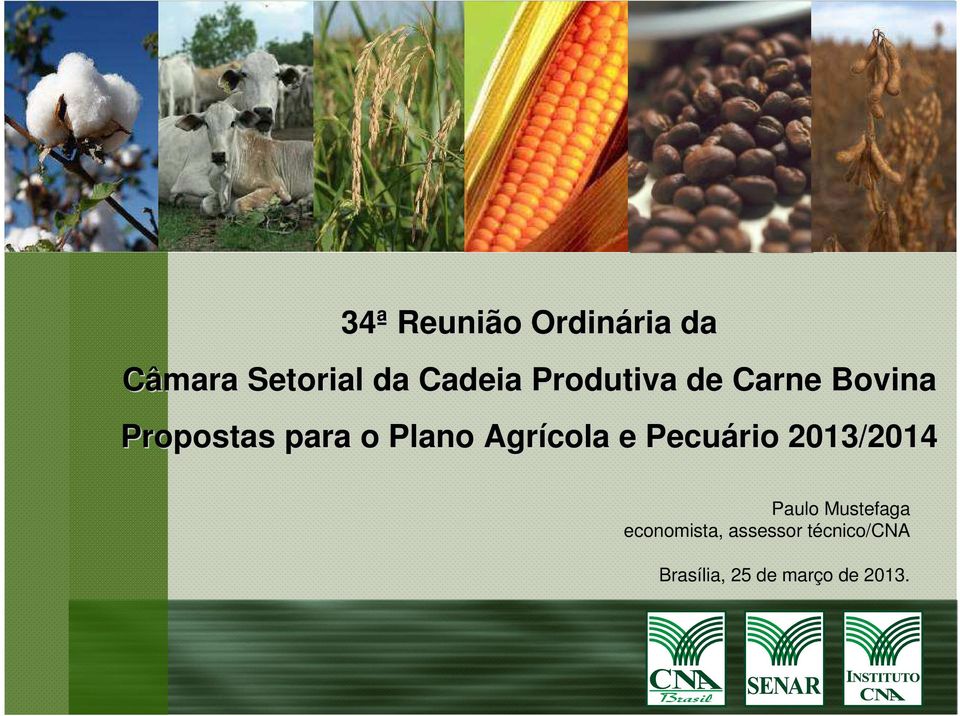 Plano Agrícola e Pecuário 2013/2014 Paulo Mustefaga