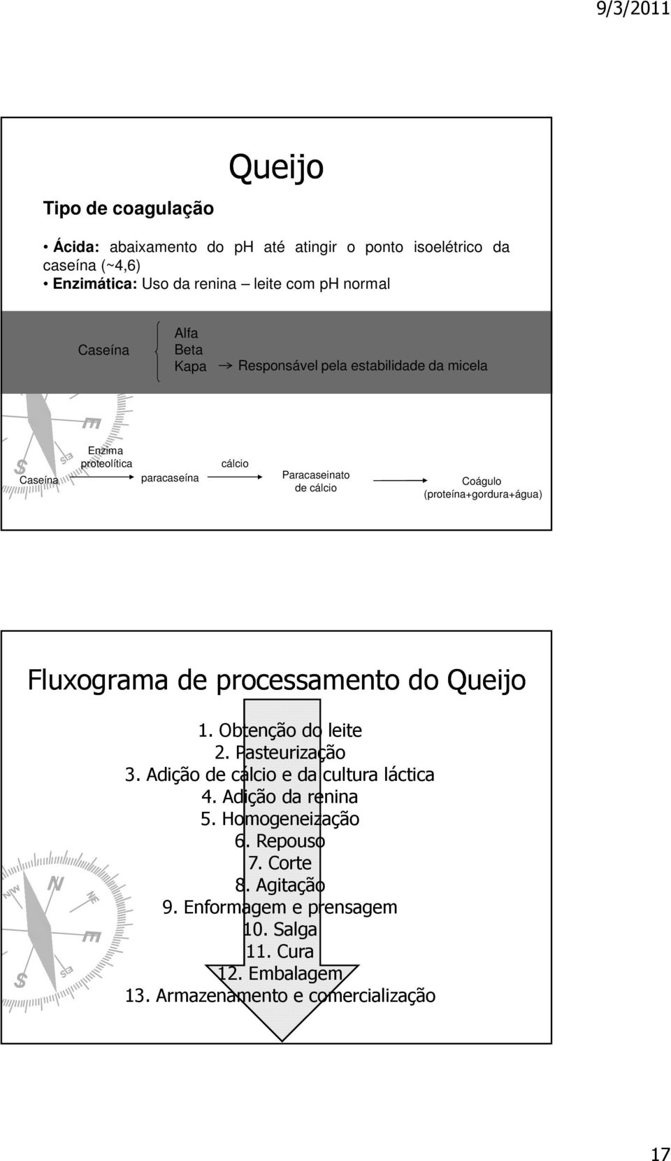 (proteína+gordura+água) Fluxograma de processamento do Queijo 1. Obtenção do leite 2. Pasteurização 3. Adição de cálcio e da cultura láctica 4.