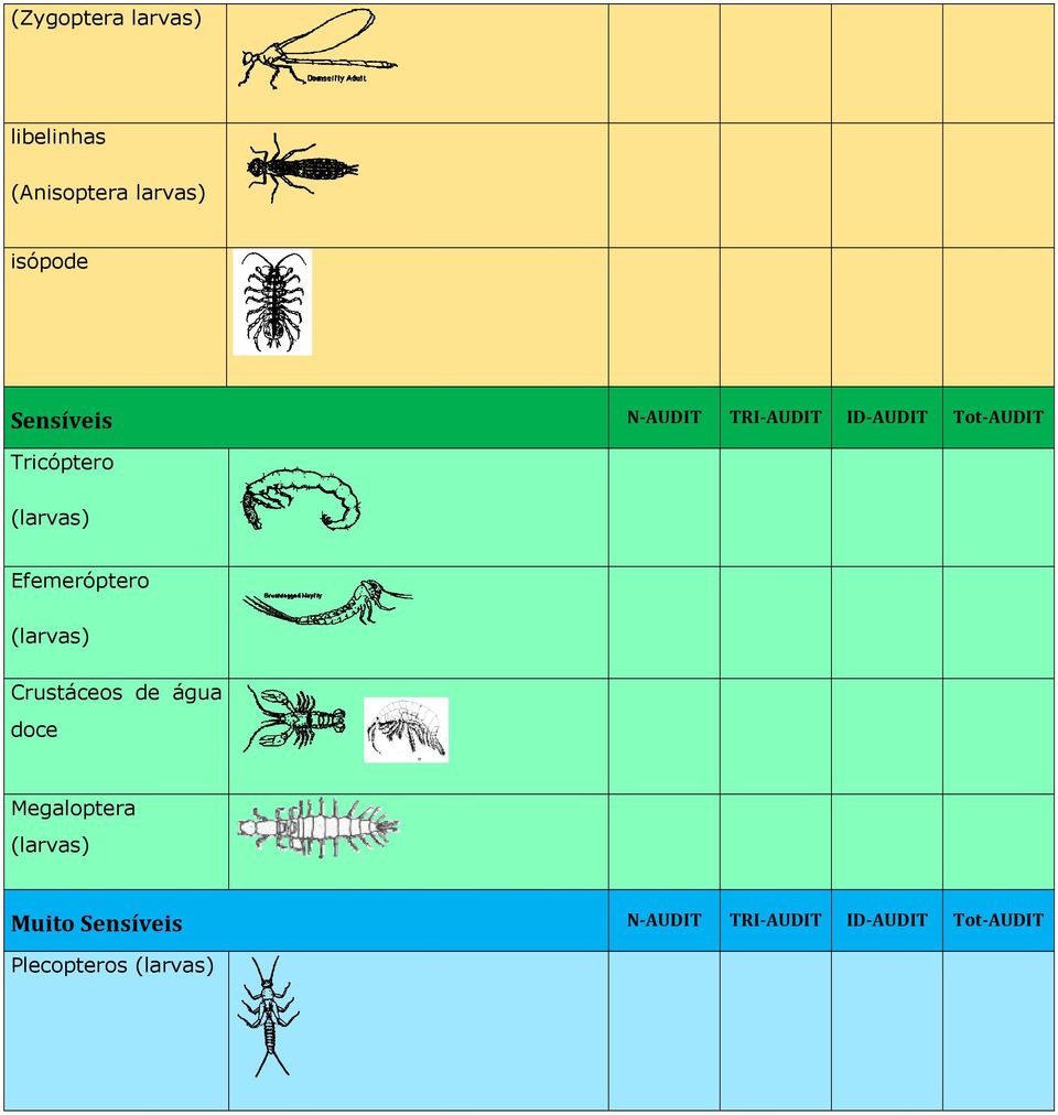 Efemeróptero (larvas) Crustáceos de água doce Megaloptera (larvas)