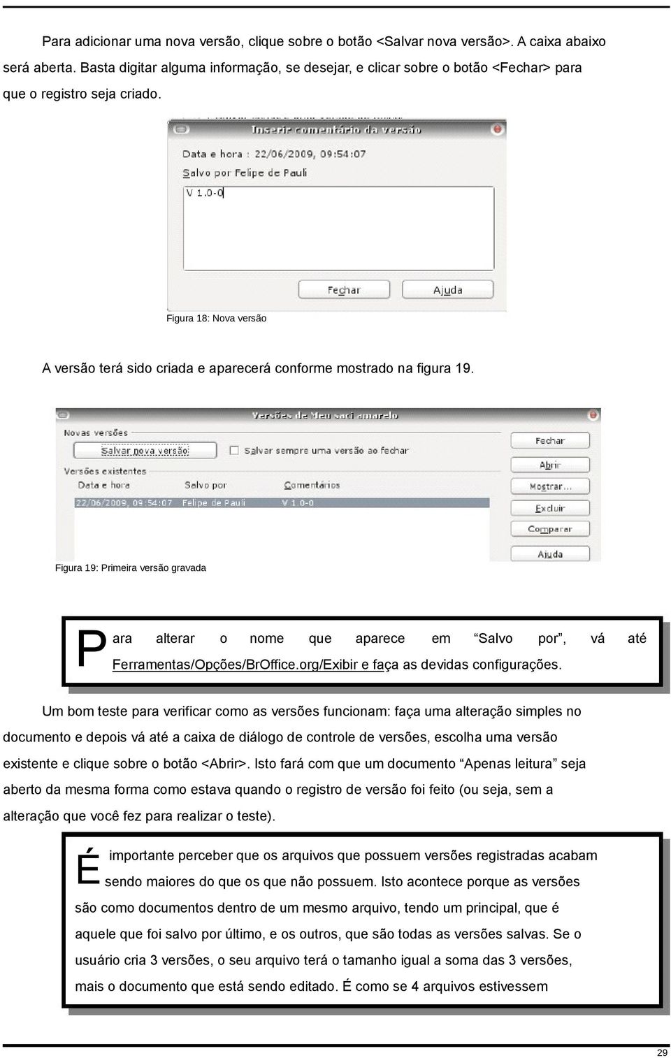 Figura 18: Nova versão A versão terá sido criada e aparecerá conforme mostrado na figura 19.