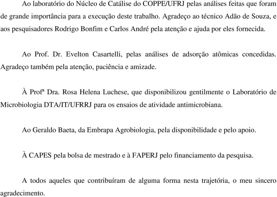 Evelton Casartelli, pelas análises de adsorção atômicas concedidas. Agradeço também pela atenção, paciência e amizade. À Profª Dra.