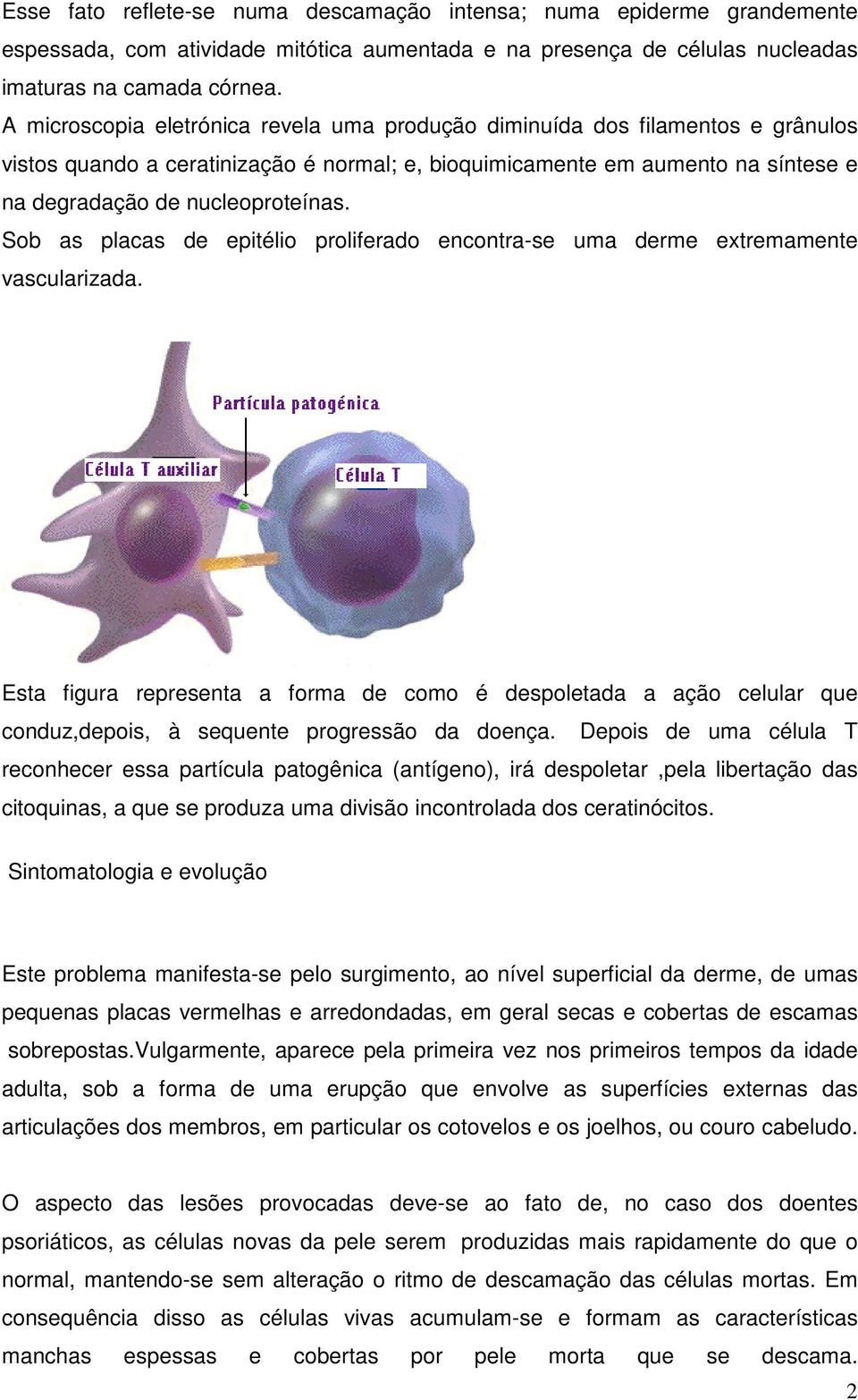 Sob as placas de epitélio proliferado encontra-se uma derme extremamente vascularizada.