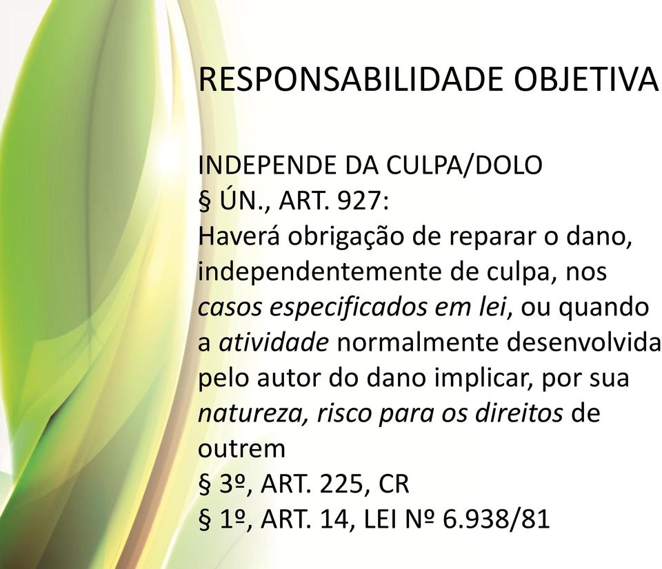 especificados em lei, ou quando a atividade normalmente desenvolvida pelo autor do