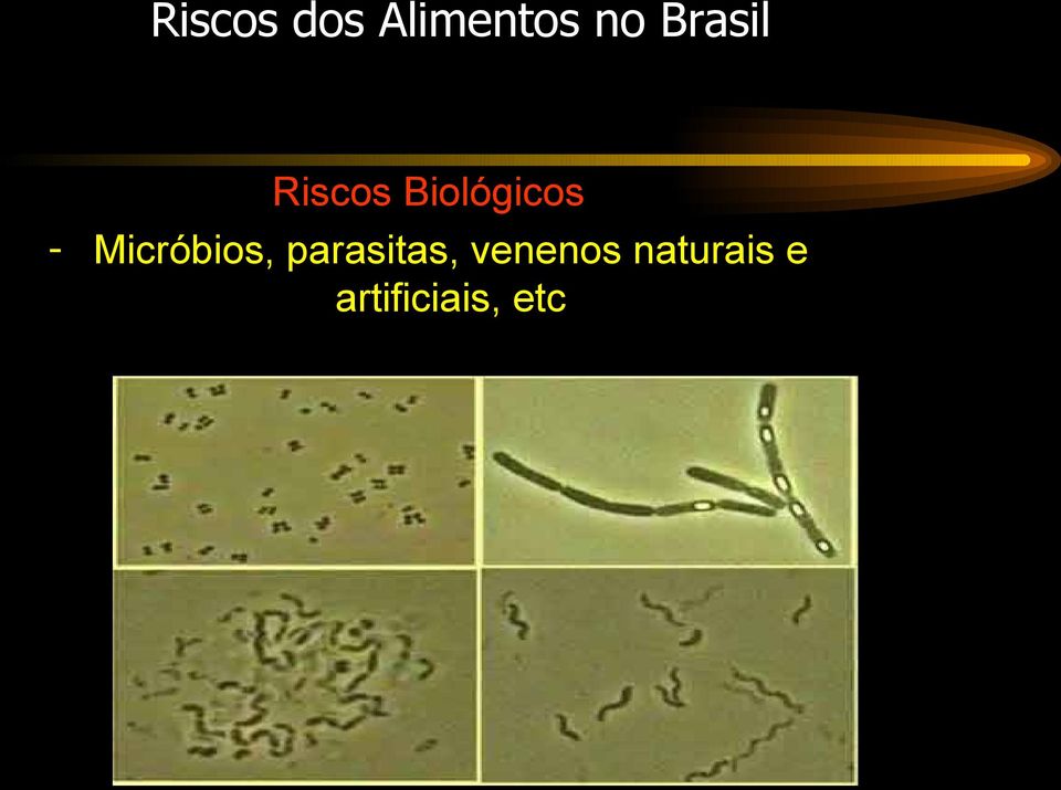 Micróbios, parasitas,
