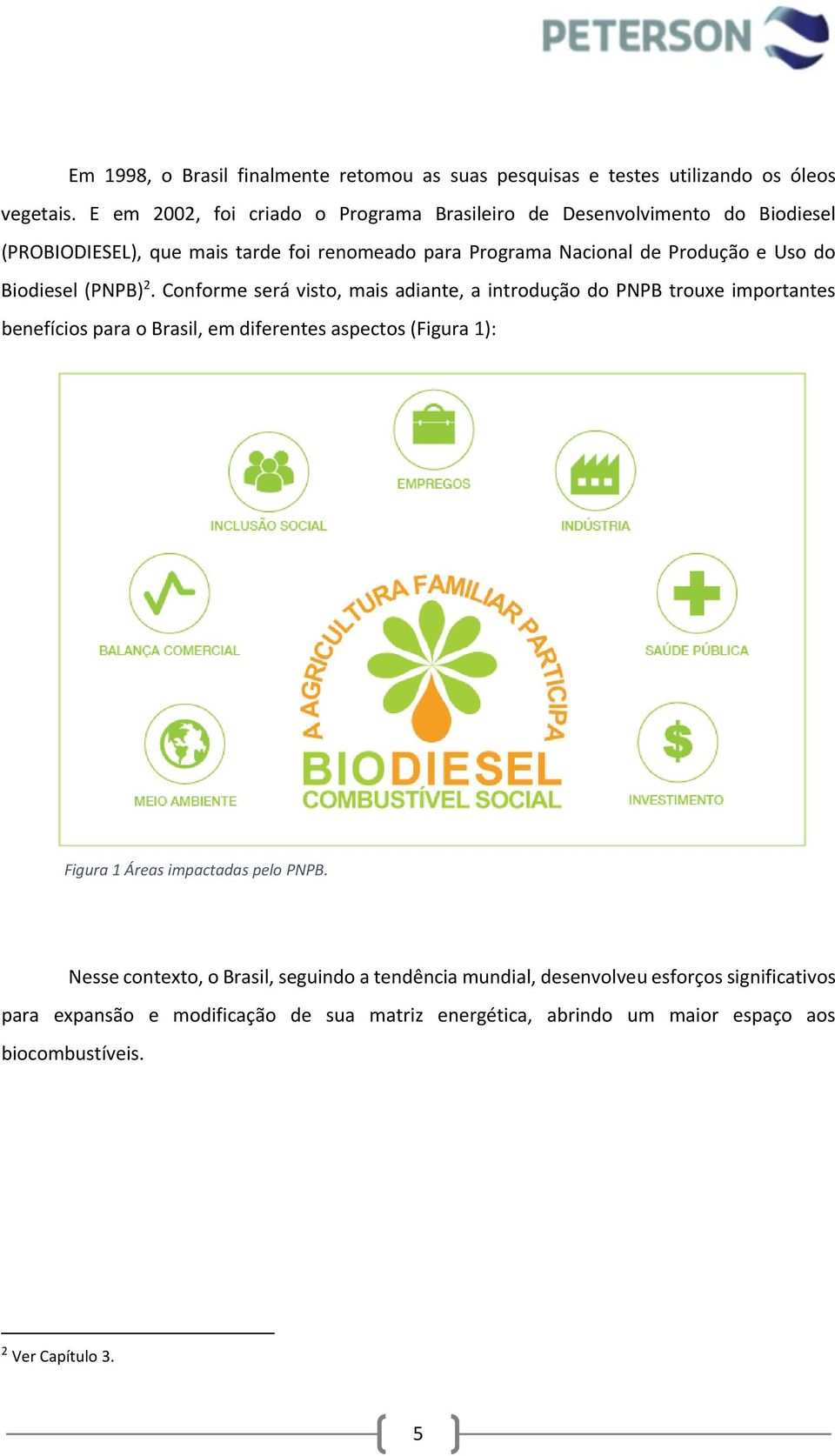 Biodiesel (PNPB) 2.