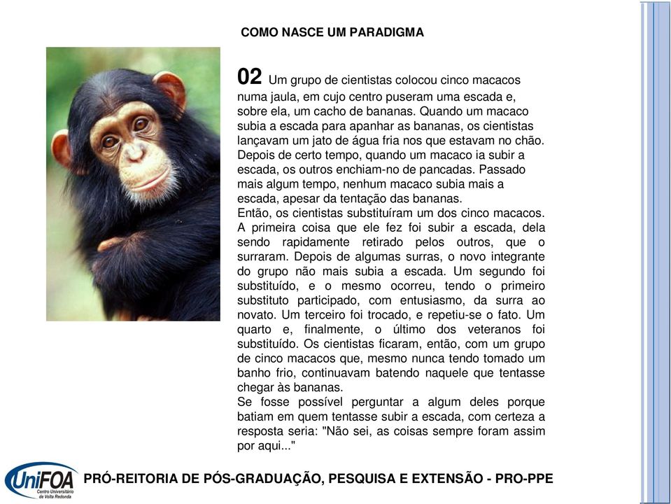 Depois de certo tempo, quando um macaco ia subir a escada, os outros enchiam-no de pancadas. Passado mais algum tempo, nenhum macaco subia mais a escada, apesar da tentação das bananas.