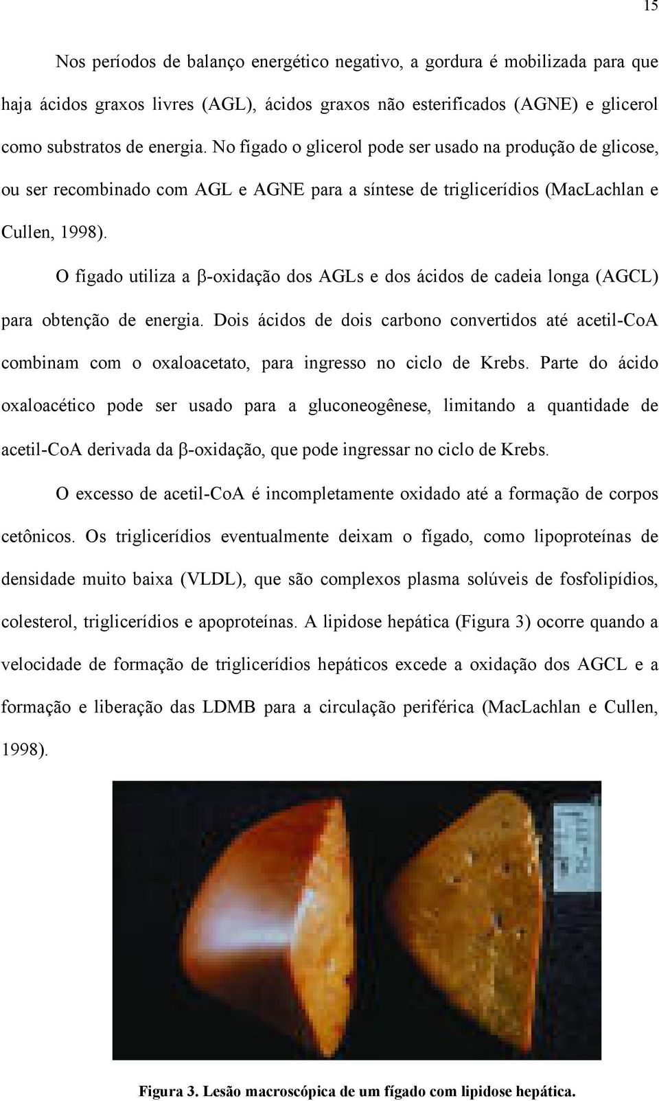 O fígado utiliza a β-oxidação dos AGLs e dos ácidos de cadeia longa (AGCL) para obtenção de energia.