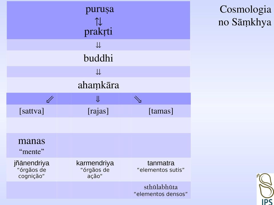 jñānendriya karmendriya tanmatra órgãos de