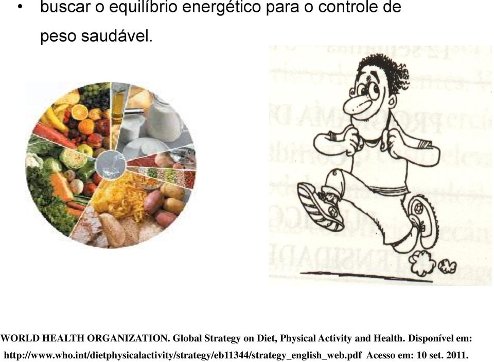 Global Strategy on Diet, Physical Activity and Health.