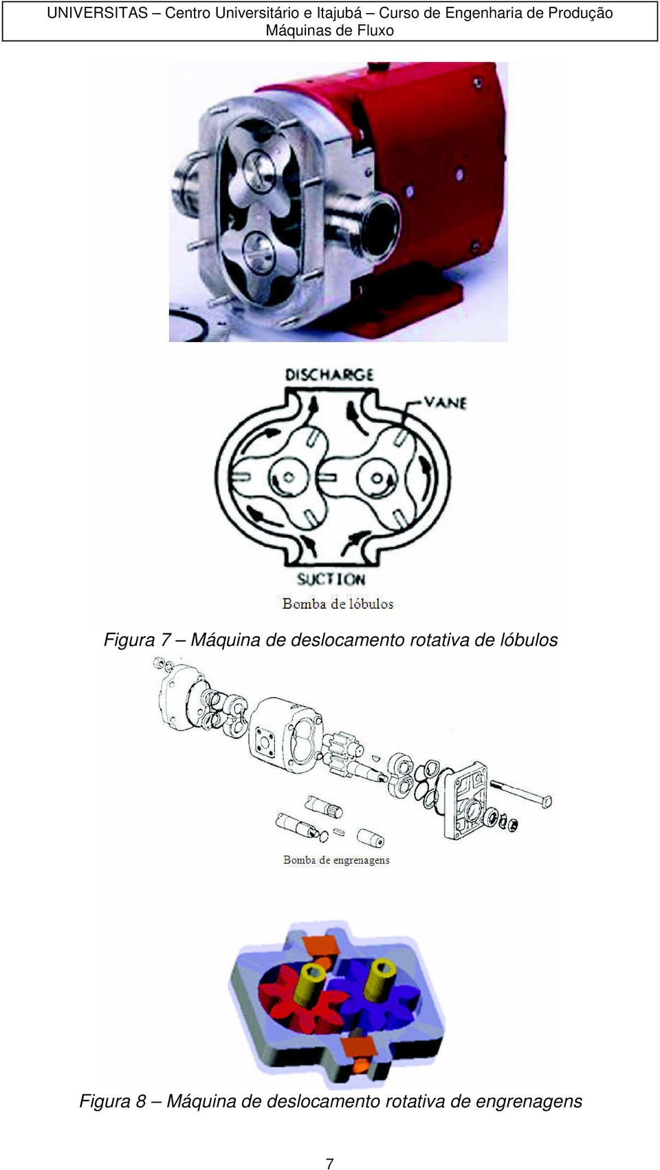 lóbuls Figura 8 Máquina