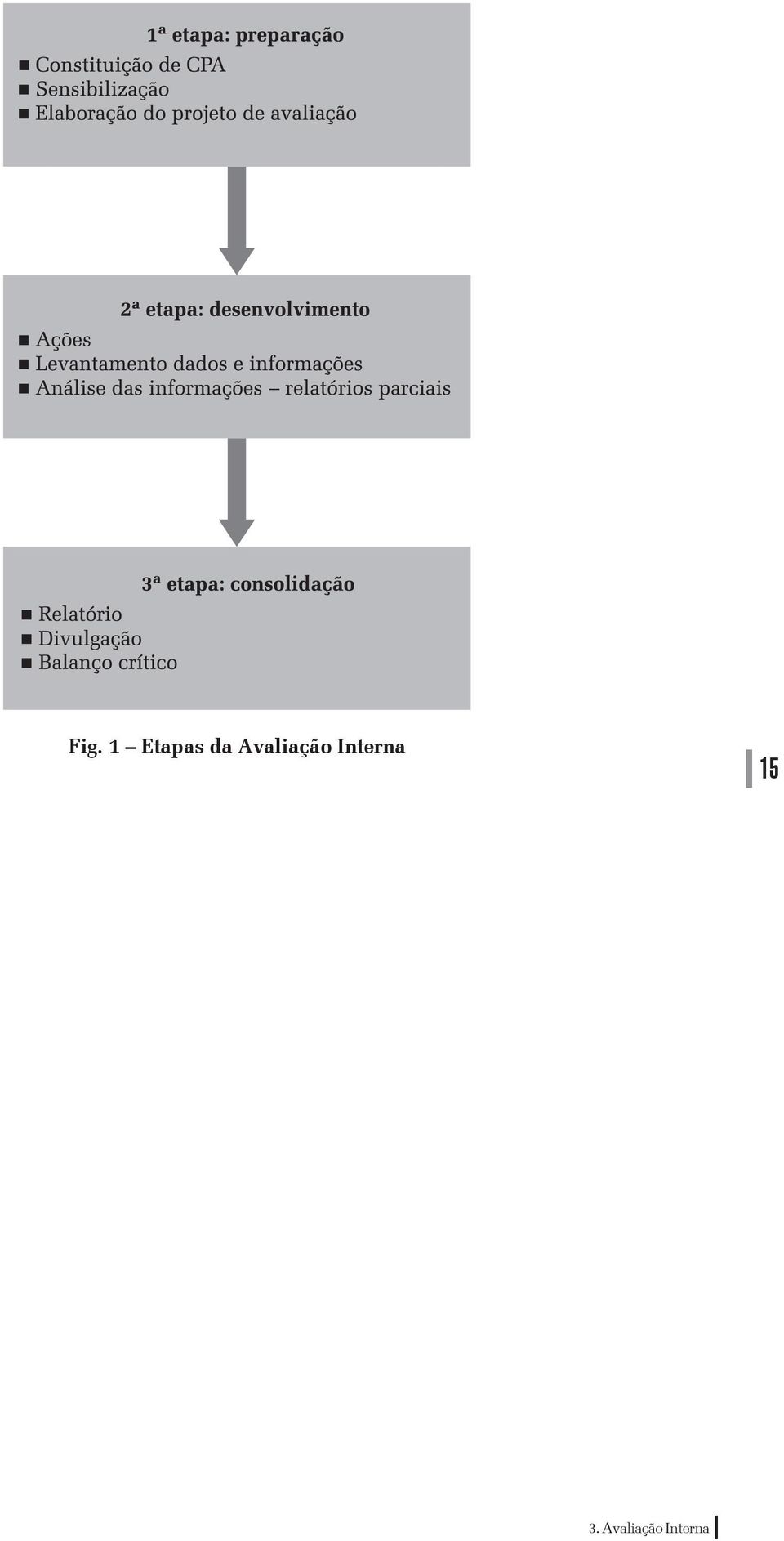 Interna 15 3.