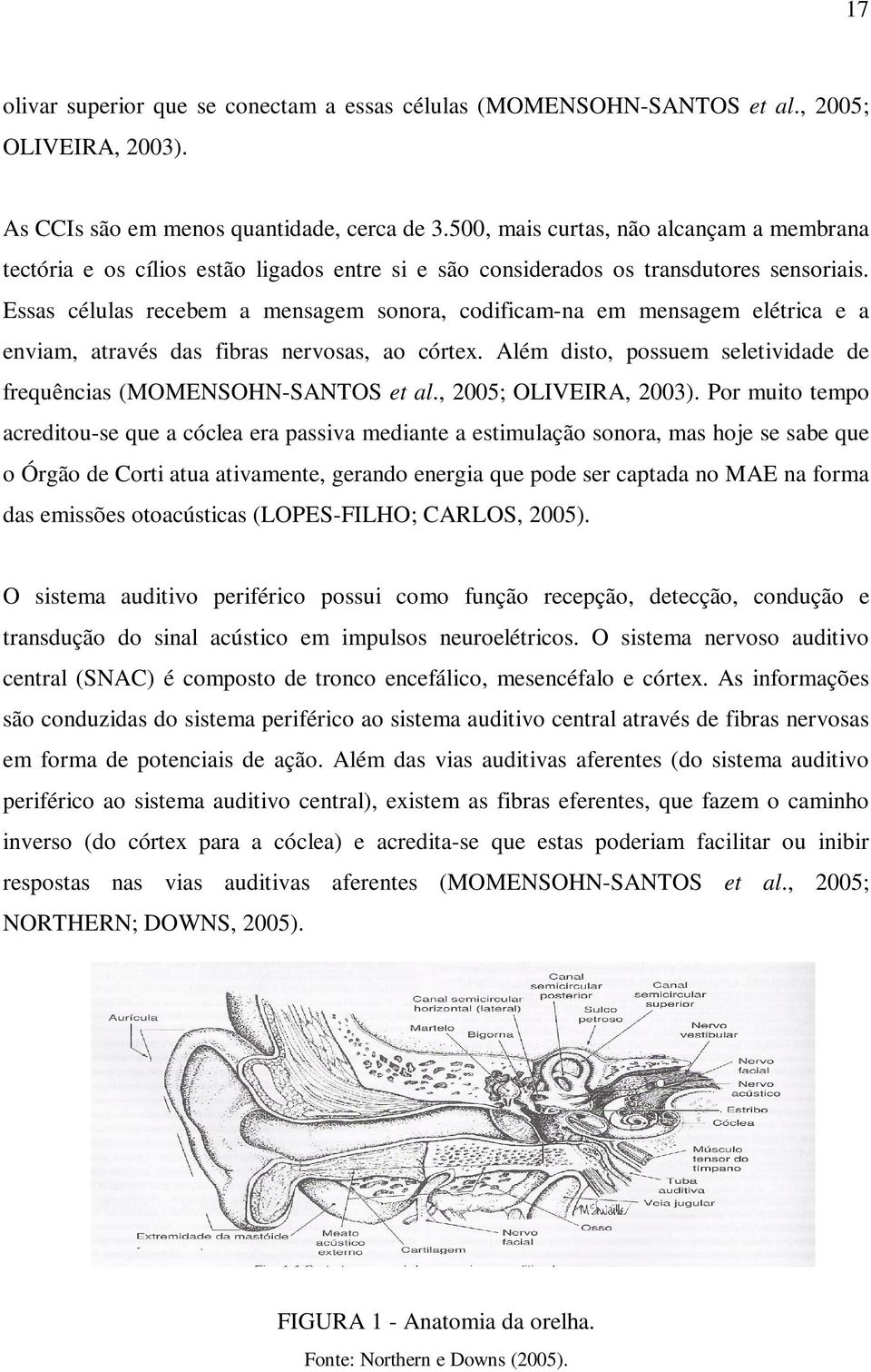 Essas células recebem a mensagem sonora, codificam-na em mensagem elétrica e a enviam, através das fibras nervosas, ao córtex. Além disto, possuem seletividade de frequências (MOMENSOHN-SANTOS et al.