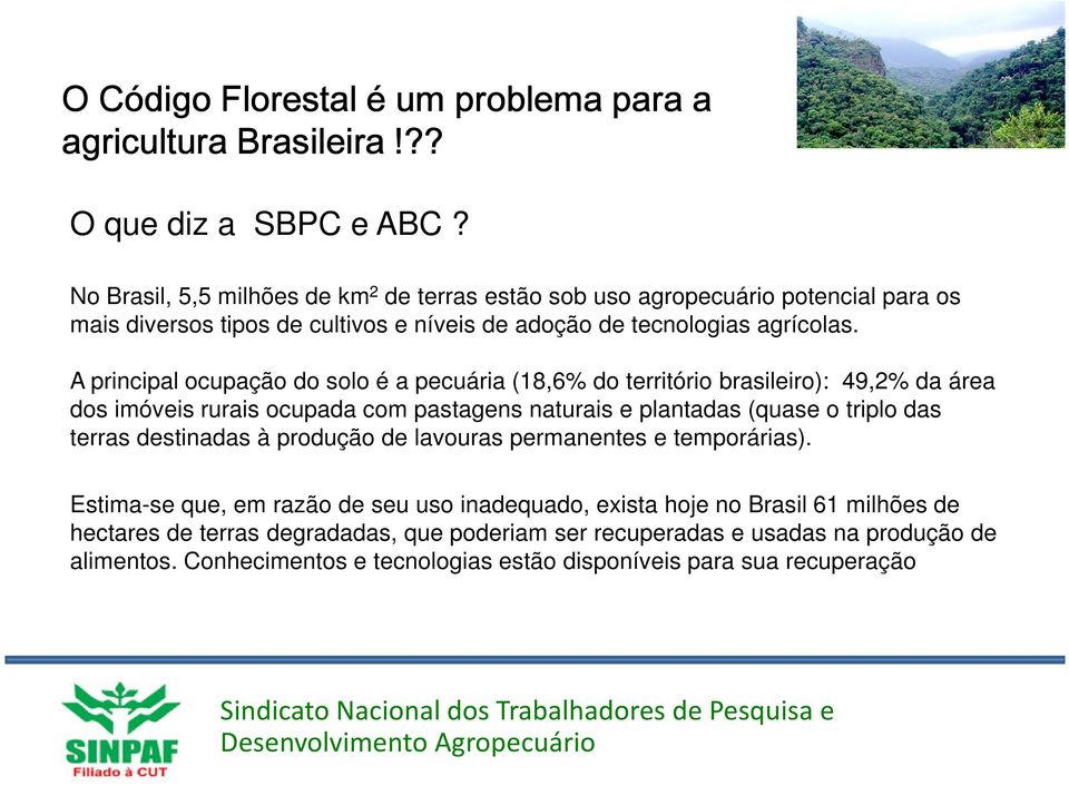 A principal ocupação do solo é a pecuária (18,6% do território brasileiro): 49,2% da área dos imóveis rurais ocupada com pastagens naturais e plantadas (quase o triplo das terras