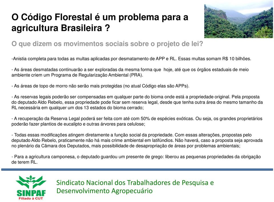 - As áreas desmatadas continuarão a ser exploradas da mesma forma que hoje, até que os órgãos estaduais de meio ambiente criem um Programa de Regularização Ambiental (PRA).