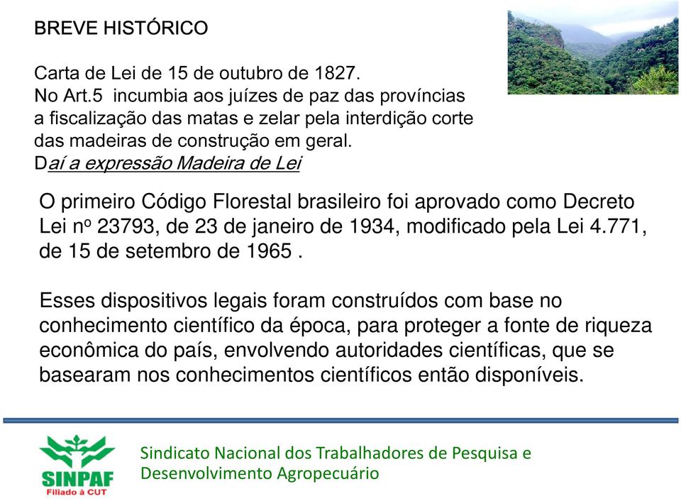 Daí a expressão Madeira de Lei O primeiro Código Florestal brasileiro foi aprovado como Decreto Lei n o 23793, de 23 de janeiro de 1934, modificado pela Lei