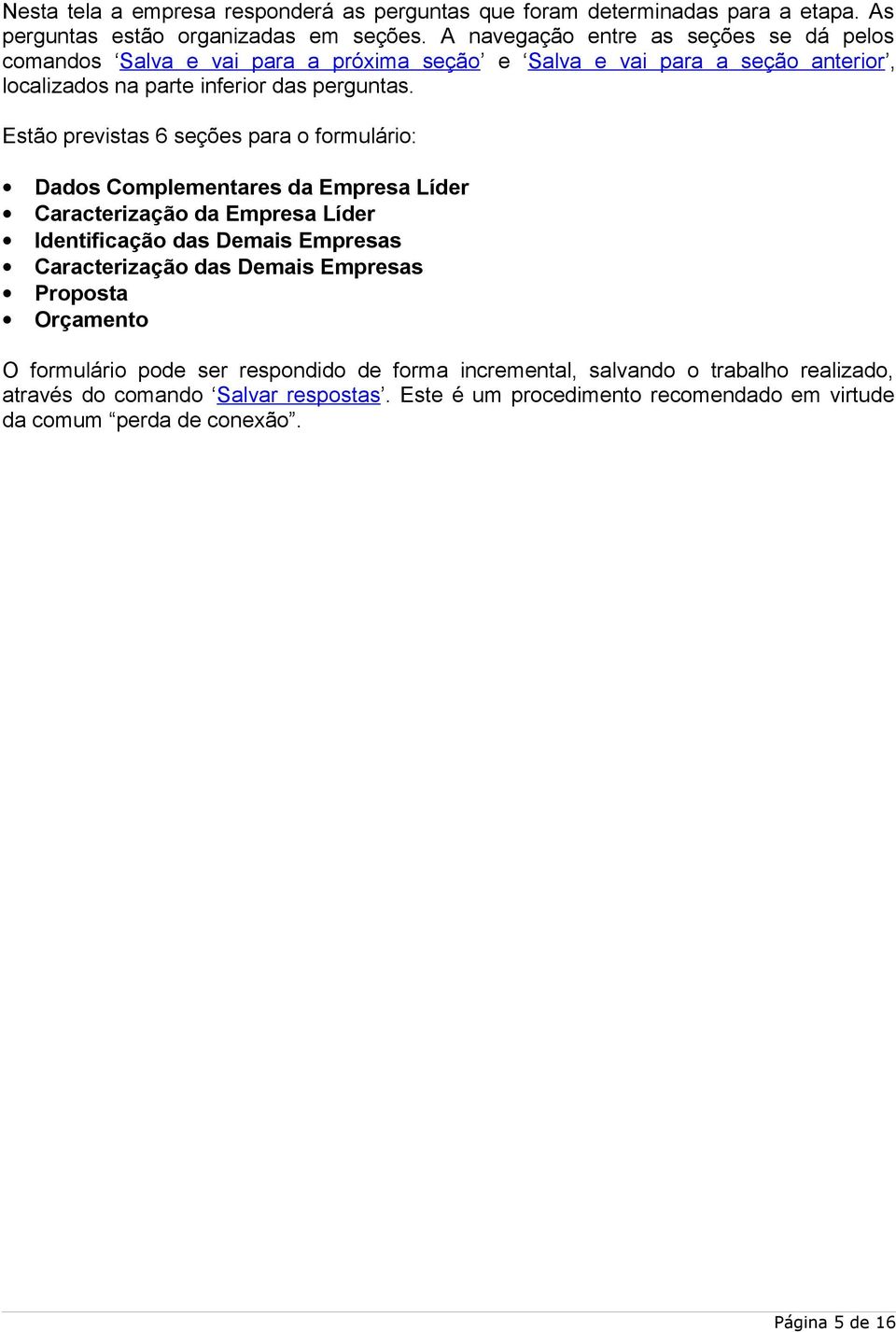 Estão previstas 6 seções para o formulário: Dados Complementares da Empresa Líder Caracterização da Empresa Líder Identificação das Demais Empresas Caracterização das Demais