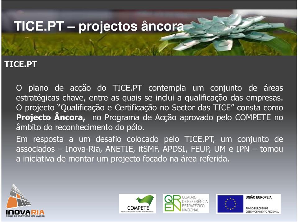 O projecto Qualificação e Certificação no Sector das TICE consta como Projecto Âncora, no Programa de Acção aprovado pelo COMPETE