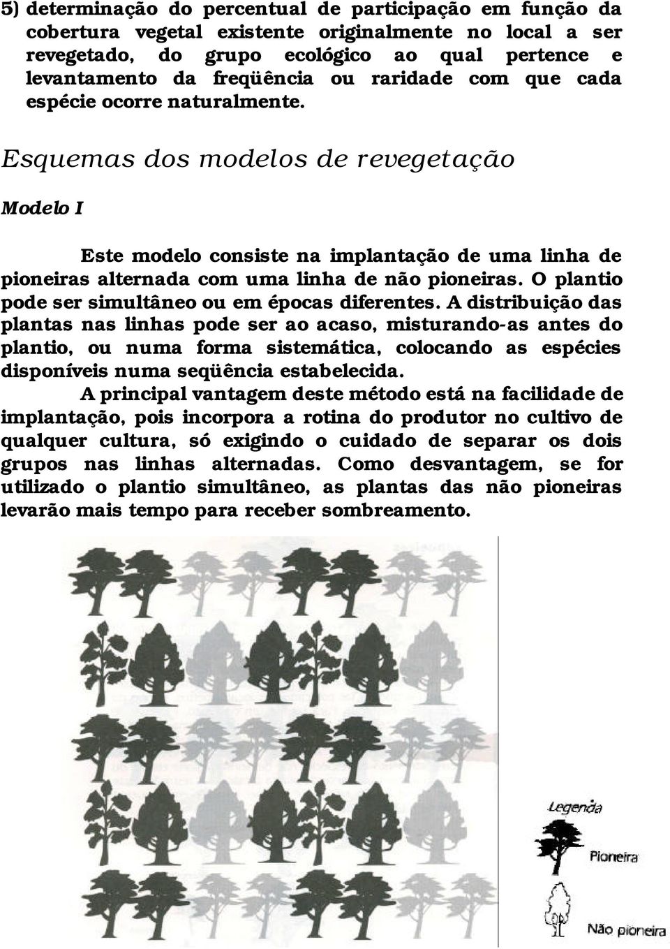 O plantio pode ser simultâneo ou em épocas diferentes.