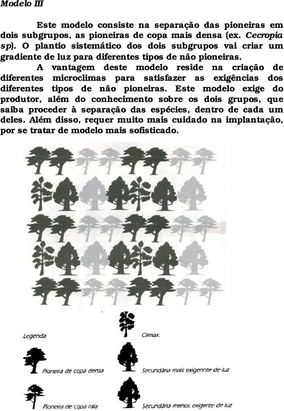 A vantagem deste modelo reside na criação de diferentes microclimas para satisfazer as exigências dos diferentes tipos de não pioneiras.