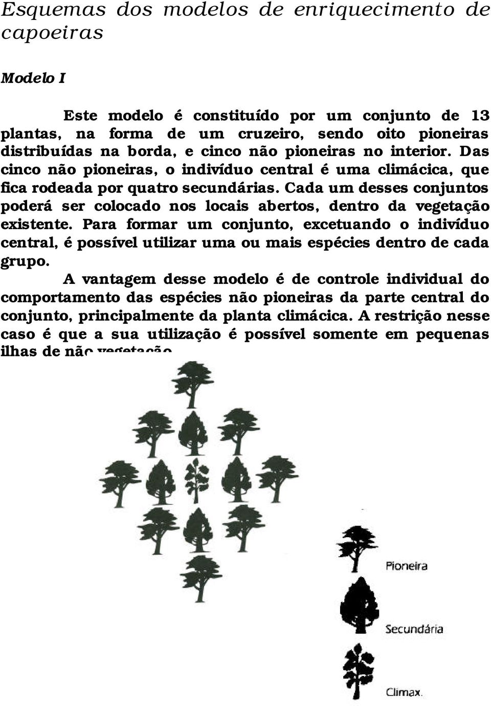 Cada um desses conjuntos poderá ser colocado nos locais abertos, dentro da vegetação existente.