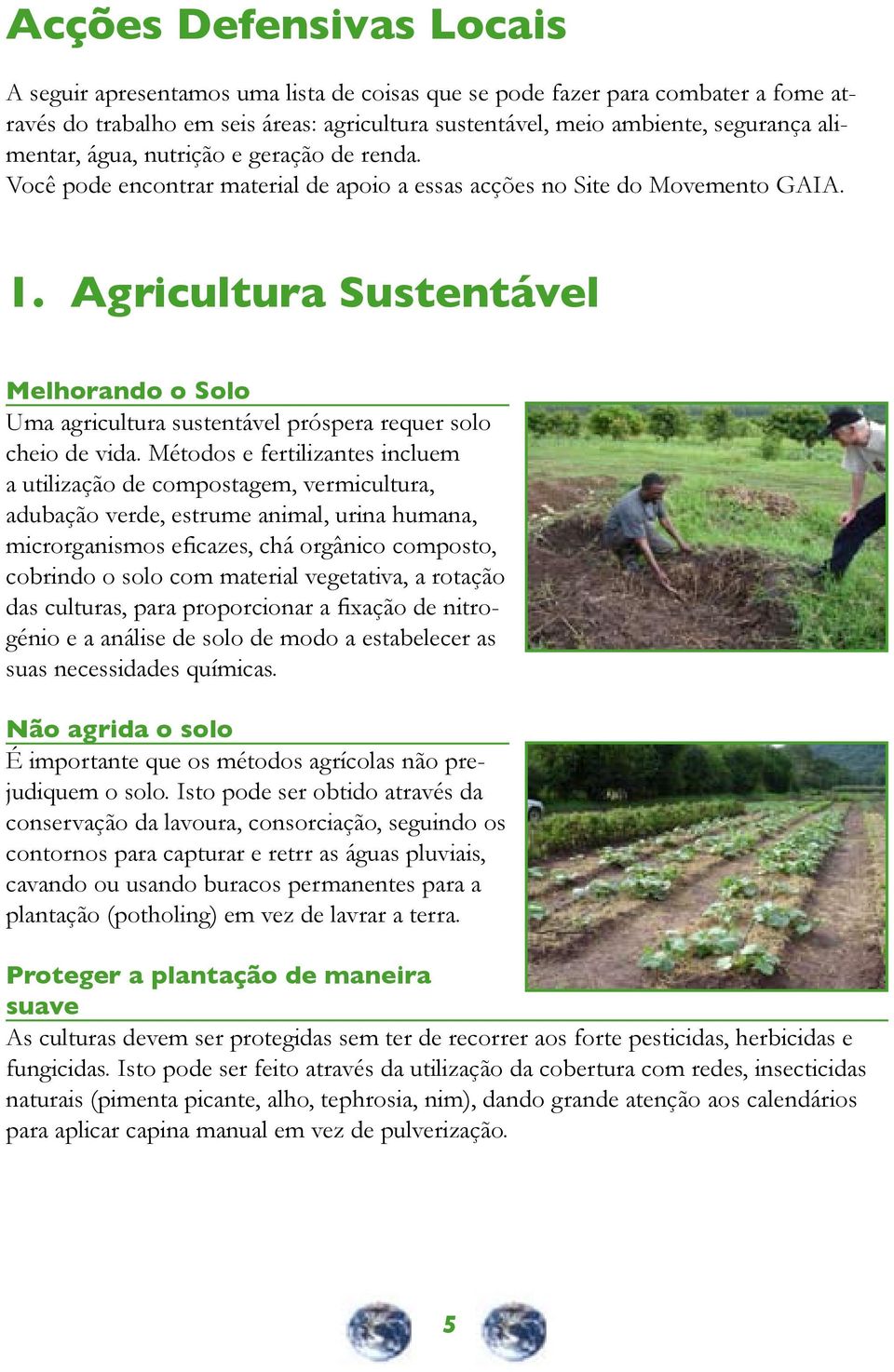 Agricultura Sustentável Melhorando o Solo Uma agricultura sustentável próspera requer solo cheio de vida.